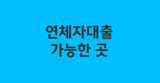 연체자대출 대출금 상환 시기 설정 방법